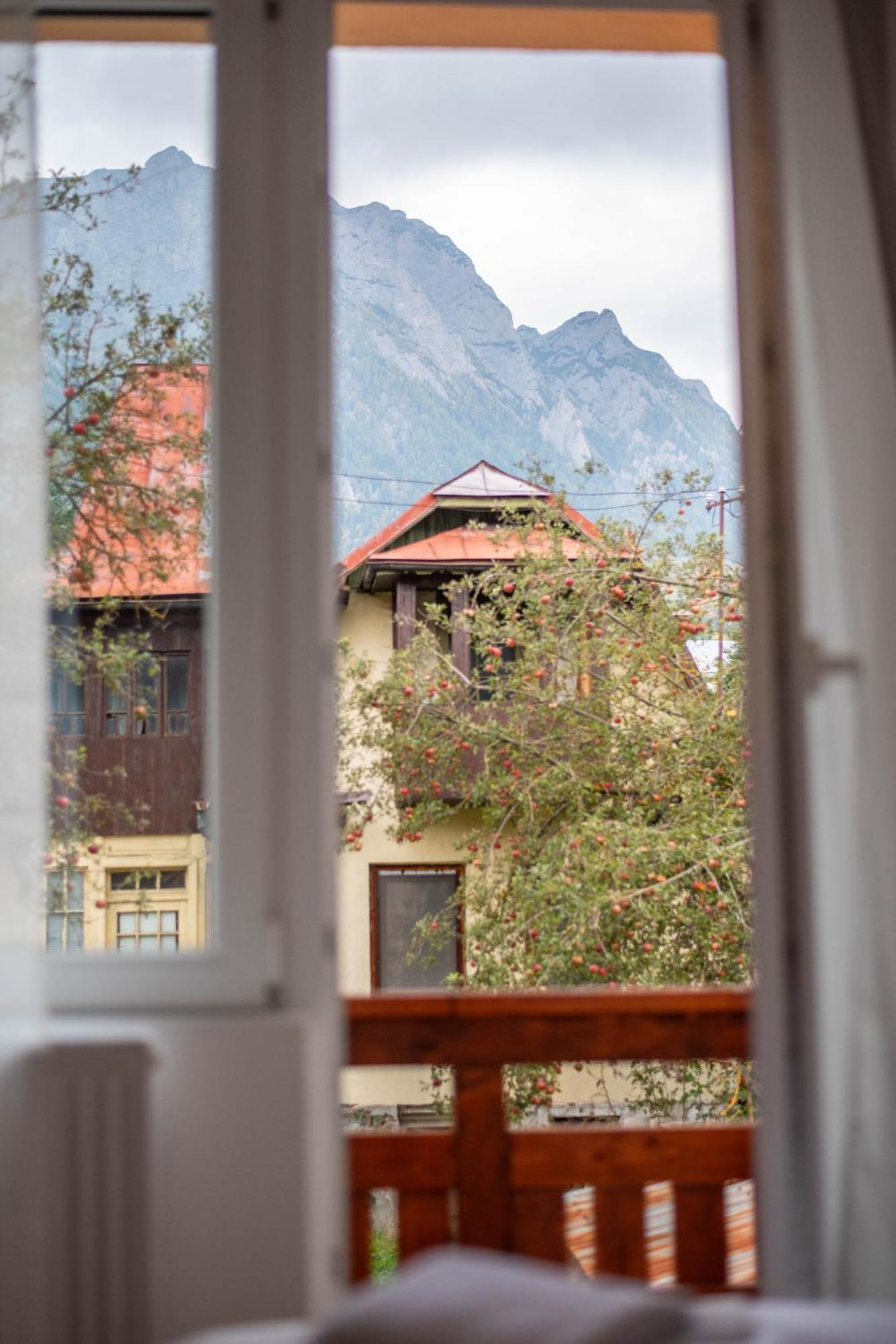 Casa Bucegi Buşteni 外观 照片